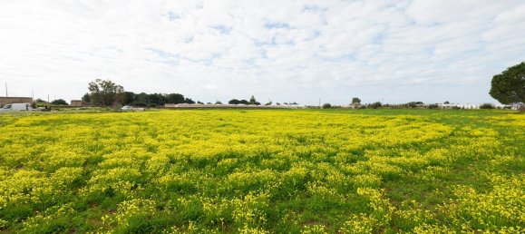 Grundstück in Vittoria, Italy 12000m², Nr. 235469 7