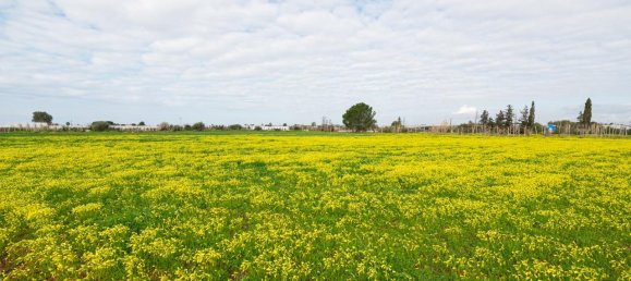 Grundstück in Vittoria, Italy 12000m², Nr. 235469 5