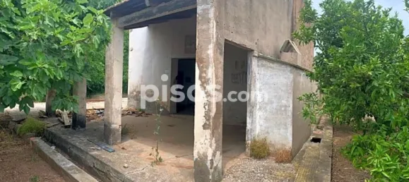 Terrain à Castellon de la Plana, Spain 11632m² No. 91517 14