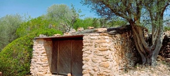 3 غرف نوم منزل في Mallorca, Spain رقم 144638 46