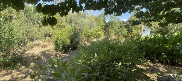 1 Schlafzimmer Haus in Pontinia, Italy, Nr. 320562 17