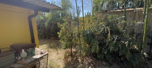 1 Schlafzimmer Haus in Pontinia, Italy, Nr. 320562 22