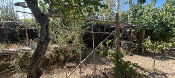 1 Schlafzimmer Haus in Pontinia, Italy, Nr. 320562 28