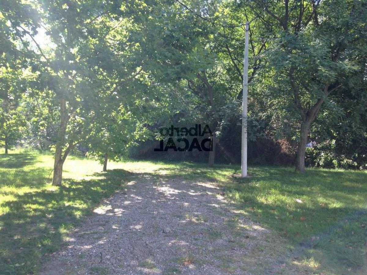  Land in Campo Creado, Argentina No. 32597