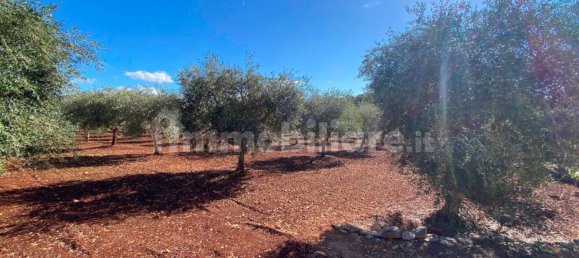 2 bedrooms House in Ceglie Messapica, Italy No. 123312 36