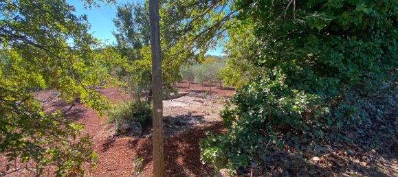 2 bedrooms House in Ceglie Messapica, Italy No. 123312 27