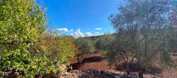 2 bedrooms House in Ceglie Messapica, Italy No. 123312 24