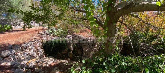 2 bedrooms House in Ceglie Messapica, Italy No. 123312 25