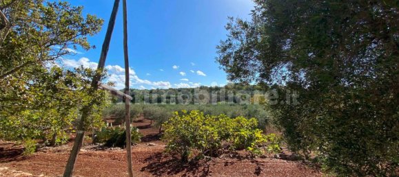 2 bedrooms House in Ceglie Messapica, Italy No. 123312 2