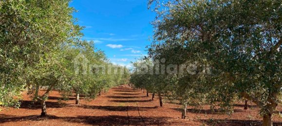 2 bedrooms House in Ceglie Messapica, Italy No. 123312 38