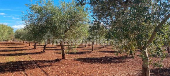 2 bedrooms House in Ceglie Messapica, Italy No. 123312 39