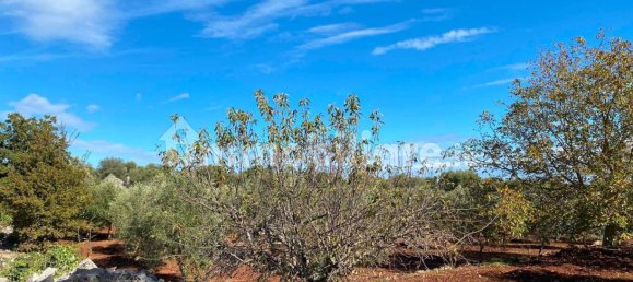 2 bedrooms House in Ceglie Messapica, Italy No. 123312 42