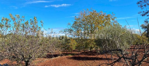 2 bedrooms House in Ceglie Messapica, Italy No. 123312 41