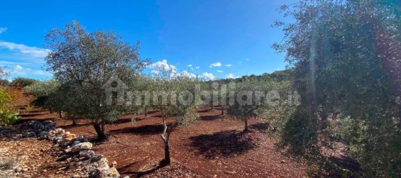 2 bedrooms House in Ceglie Messapica, Italy No. 123312 3