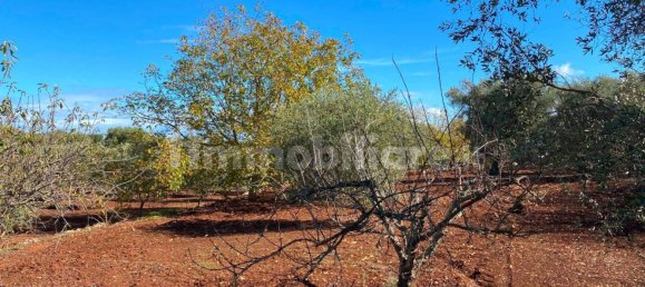 2 bedrooms House in Ceglie Messapica, Italy No. 123312 43