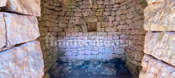 2 bedrooms House in Ceglie Messapica, Italy No. 123312 8