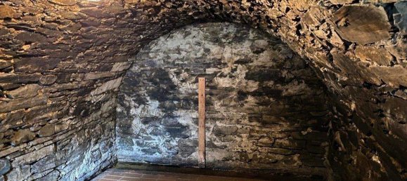 10-Zimmer Stadthaus in Saale-Orla, Germany, Nr. 347902 14