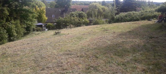  Land in Plon, Germany No. 217897 2