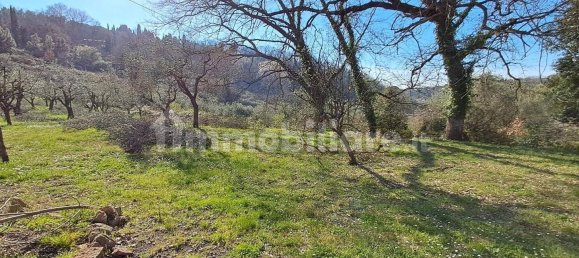 4 bedrooms House in Montescudaio, Italy No. 55414 27