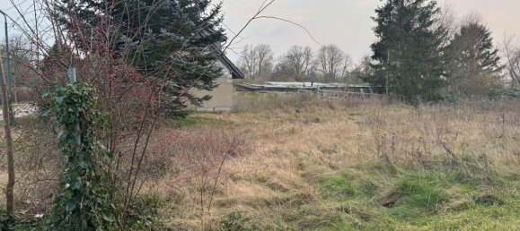 4 rooms Land in Nordwestmecklenburg, Germany No. 230869 4