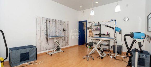 Imóvel comercial em Menorca, Spain 168 m² N.º 207251 5