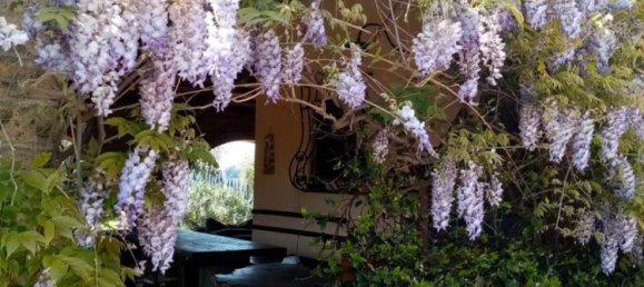 2 Schlafzimmer Villa in Piombino, Italy, Nr. 1412 7