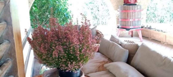 2 Schlafzimmer Villa in Piombino, Italy, Nr. 1412 9