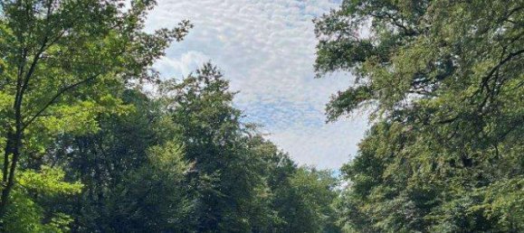 Таунхаус с 3 спальнями в Майн-Таунус, Германия № 132390 2