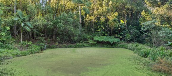 4 bedrooms Farm in Nimbin, Australia No. 277 19