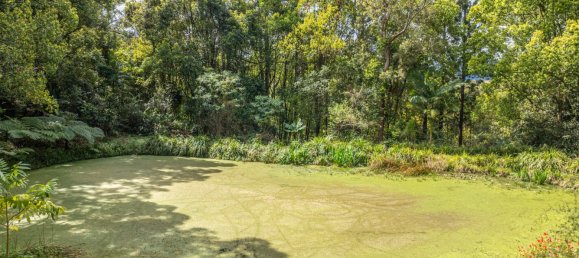 4 bedrooms Farm in Nimbin, Australia No. 277 29