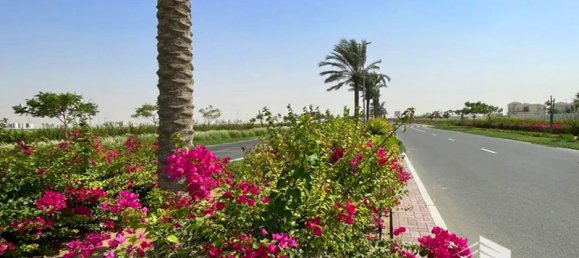 1717.4m² Land in Palm Jebel Ali, UAE No. 18957 2