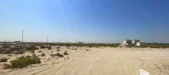 1717.4m² Land in Palm Jebel Ali, UAE No. 18957 10