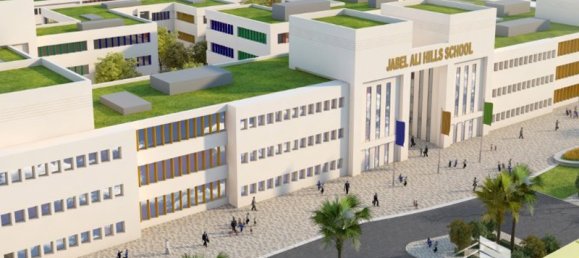 1717.4m² Land in Palm Jebel Ali, UAE No. 18957 3