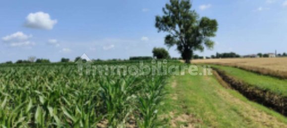 2 chambres Appartement à Ferrara, Italy No. 258196 3