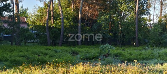 Grundstück in Viseu, Portugal, Nr. 47948 5