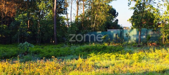 Grundstück in Viseu, Portugal, Nr. 47948 4