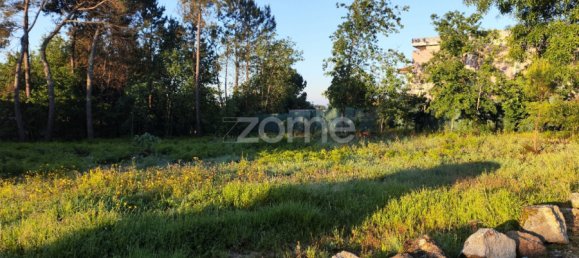 Grundstück in Viseu, Portugal, Nr. 47948 13