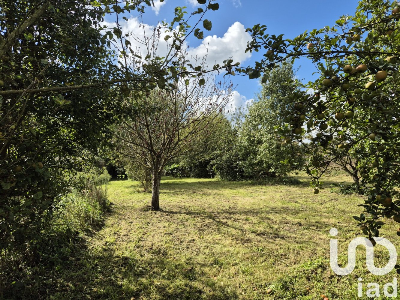 5 bedrooms House in Rumegies, France No. 244743