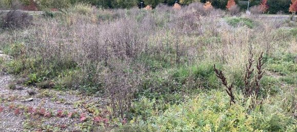 Terreno em Schwalm-Eder, Germany N.º 191714 2