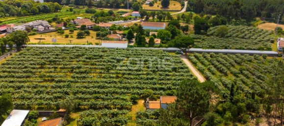 قطعة أرض في Agueda, Portugal 1883متر مربع رقم 78822 11