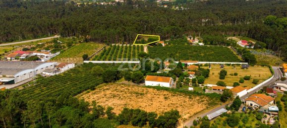 قطعة أرض في Agueda, Portugal 1883متر مربع رقم 78822 6