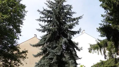 2 rooms Apartment in Vienna, Austria No. 134128