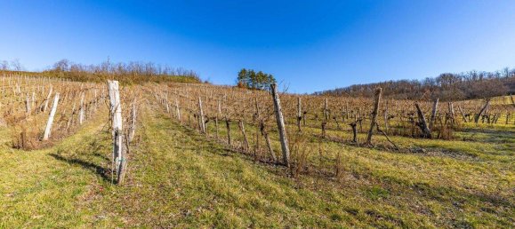 قطعة أرض في Ziersdorf, Austria رقم 151070 5
