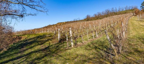 قطعة أرض في Ziersdorf, Austria رقم 151070 4