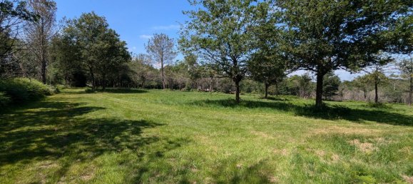 6 bedrooms Villa in Pluvigner, France No. 288964 4