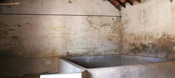 3 غرف نوم منزل في Lourinha, Portugal رقم 52990 10