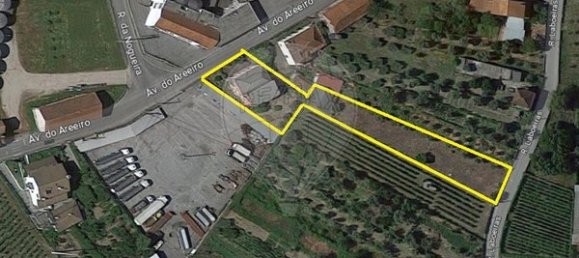 6 غرف نوم منزل في Lajeosa do Dao, Portugal رقم 181461 27