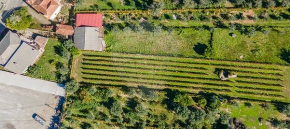 6 غرف نوم منزل في Lajeosa do Dao, Portugal رقم 181461 29