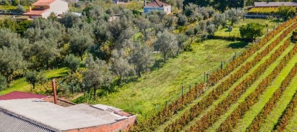 6 غرف نوم منزل في Lajeosa do Dao, Portugal رقم 181461 18