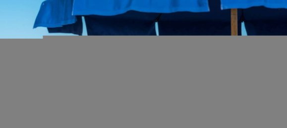 20-Zimmer Villa in Forte dei Marmi, Italy, Nr. 36509 13